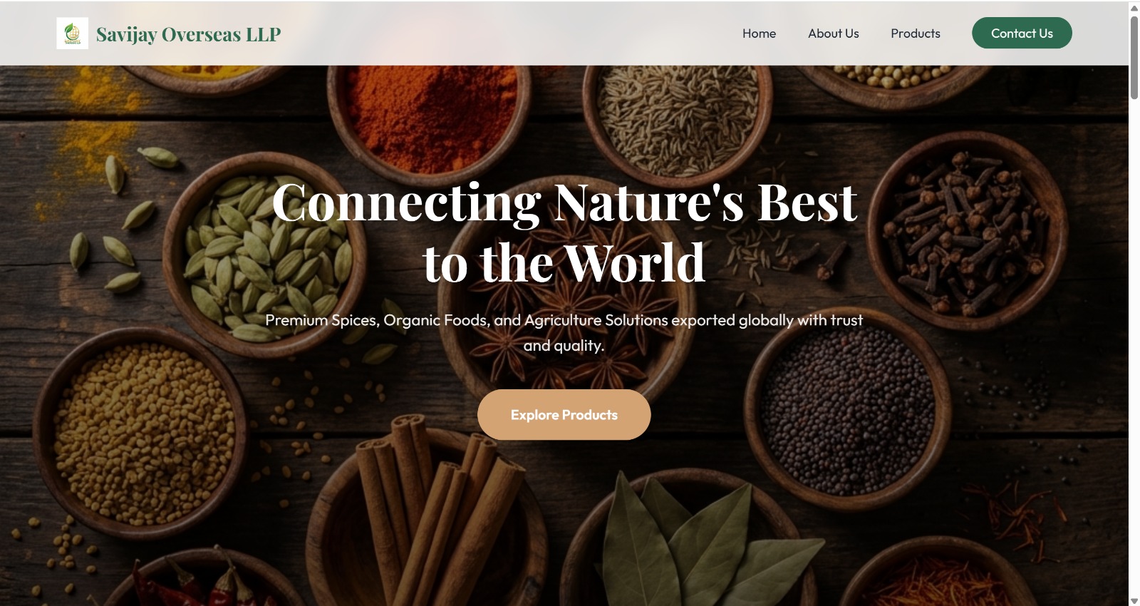 Savijay Overseas Website Screenshot